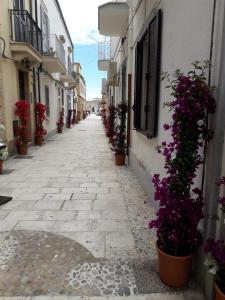an alley with potted plants on the side of a building at Casa Barbara in Marzamemi