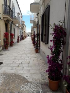 an alley with potted plants on the side of a building at Casa Barbara in Marzamemi +24 photos