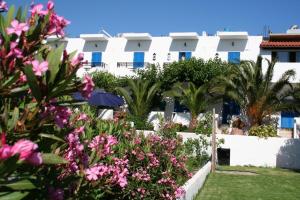 Vonkajšia záhrada v ubytovaní Oasis Apartments