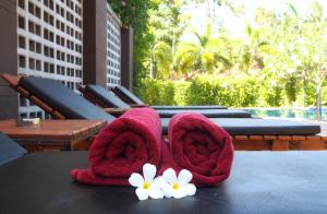 Samui Garden Home外面的花园