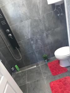 uma casa de banho com um chuveiro, um WC e um tapete vermelho em Simona Maria 2 em Bucareste