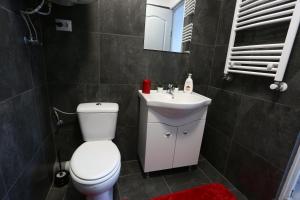 a bathroom with a toilet and a sink at Simona Maria 2 in Bucharest