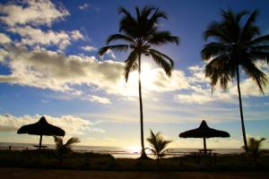 two palm trees and umbrellas on the beach at POUSADA STELLA MARIS in Canavieiras