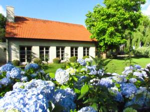 un jardin de fleurs bleues devant une maison dans l'établissement Terre de Lumière, à Maldegem