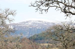 uma montanha coberta de neve à distância com árvores em Skye Cottage, Meadowside House, near Kingussie em Kingussie