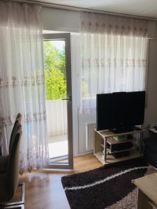 a living room with a television and a sliding glass door at Drei Zimmer Apartment am Rhein in Bad Säckingen