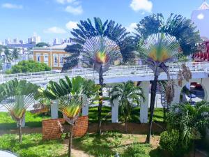 a group of palm trees in front of a building at Sol'Lar Pousada & Hostel in Fortaleza