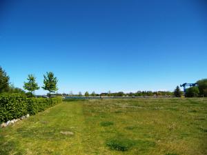 ein Grasfeld mit blauem Himmel im Hintergrund in der Unterkunft Loft de Mar -Schlossinsel- in Wolgast