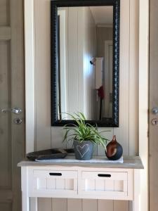 a mirror over a white dresser with a plant on it at Valberg High Quality Seaview Cabin in Valberg