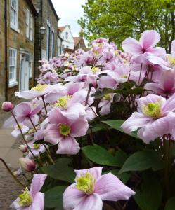 Gallery image of Aldersyde Bed & Breakfast in Robin Hood's Bay