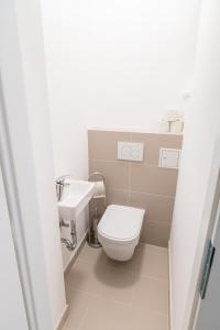 ウィーンにあるLuxury Suites Liechtensteinの小さなバスルーム(トイレ、シンク付)