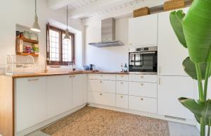Kuchyň nebo kuchyňský kout v ubytování Casa Rei