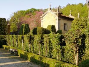 Um jardim em Paço de S.Cipriano