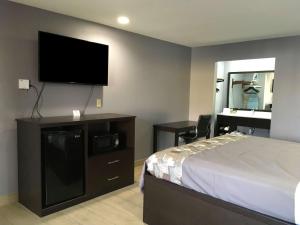 1 dormitorio con 1 cama y TV de pantalla plana en Americas Best Value Inn Denham Springs, en Denham Springs