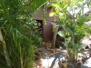 ein kleines Haus inmitten einiger Pflanzen in der Unterkunft Si Mi Capitán - Cabañas & Habitaciones in Puerto Iguazú