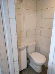 a small bathroom with a toilet and a sink at Noclegi NAD NILEM in Zator +16 photos