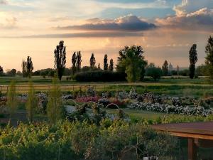 A garden outside Il Fienile di Assisi