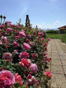 A garden outside Il Fienile di Assisi