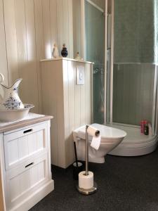 a bathroom with a shower and a toilet and a sink at Valberg High Quality Seaview Cabin in Valberg