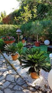 un jardín con muchas macetas en un patio en Le Mas de Marie, en Grimaud