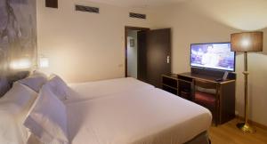TV a/nebo společenská místnost v ubytování Hotel Goya
