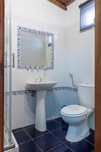 y baño con lavabo, aseo y espejo. en Casa dos Moinhos Velhos, en Brinches