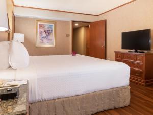 a hotel room with a large bed and a flat screen tv at Crowne Plaza Hotel Monterrey, an IHG Hotel in Monterrey