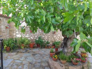 Ein Garten an der Unterkunft Apartamentos Rurales Tía María