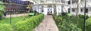 Zahrada ubytování Casa Ciobi + 26 fotografií
