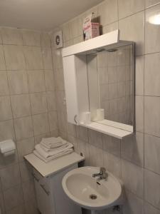 Koupelna v ubytování Rooms & Apartment Hegic