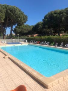 une grande piscine bleue avec des chaises et des arbres dans l'établissement appartement Cap d’Agde, au Cap d'Agde