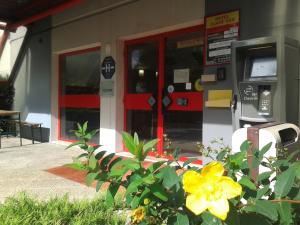 a yellow flower in front of a gas station at Hotel Eco Blois in Vineuil