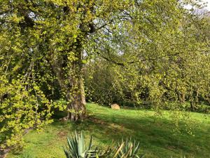 The Annexe, Tregoose House