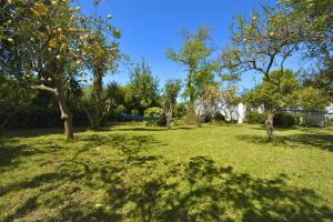 a yard with trees and a hammock in the grass at Le Querce in Procida