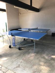 阿格德角appartement Cap d’Agde的一张蓝色的乒乓球桌坐在房间里