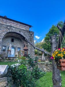 Zahrada ubytování Agriturismo Casa Turchetti