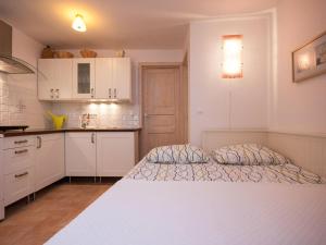 Kuchyň nebo kuchyňský kout v ubytování Apartments Mediteranea