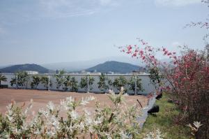 Foto da galeria de Hi Residences em Jeju