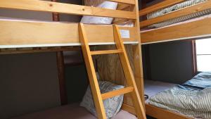 a set of bunk beds in a room with a ladder at GUEST HOUSE SaKURa in Tokyo