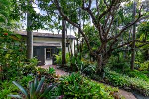 a house surrounded by trees and plants at A Little Cove treasure, Noosa Heads in Noosa Heads