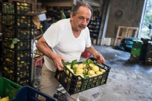 un uomo che tiene un cesto di frutta in un negozio di Casa Carolina B&B a Sorrento