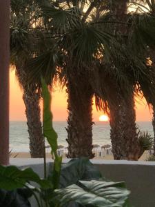 a view of the ocean from a resort with palm trees at Apartasuites Royal Zahara, Máximo confort con vistas al mar in Zahara de los Atunes