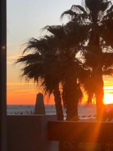 two palm trees on the beach at sunset at Apartasuites Royal Zahara, Máximo confort con vistas al mar in Zahara de los Atunes