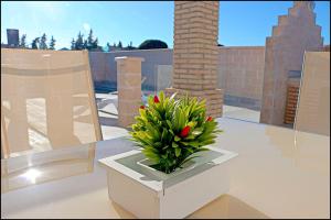 un jarrón con una flor roja en una mesa en Chalet Peñuelas con piscina, en Conil de la Frontera