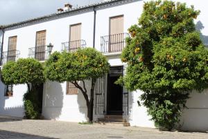 an orange tree in front of a white building at Casa Nieves in Ronda