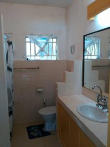 a bathroom with a sink and a toilet and a mirror at Villa Verde , haven of peace and love in Blue Bay