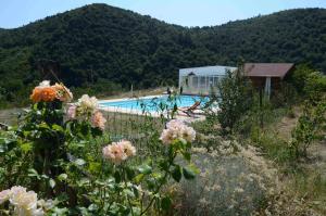 a swimming pool with a house and some flowers at MARGARIDOU in Blesle