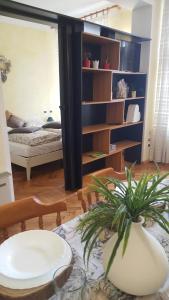 uma sala de estar com uma mesa com um vaso de plantas em APPARTAMENTO FRANCESCO GIUSEPPE em Colle Isarco