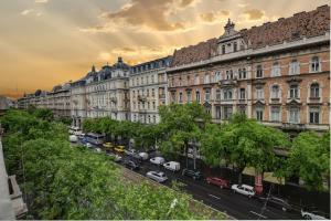 una calle de la ciudad con coches estacionados frente a los edificios en Heart of Downtown Apartment, en Budapest