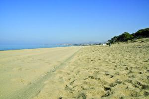 uma praia arenosa com pegadas na areia em B&B Albachiara em San Leone